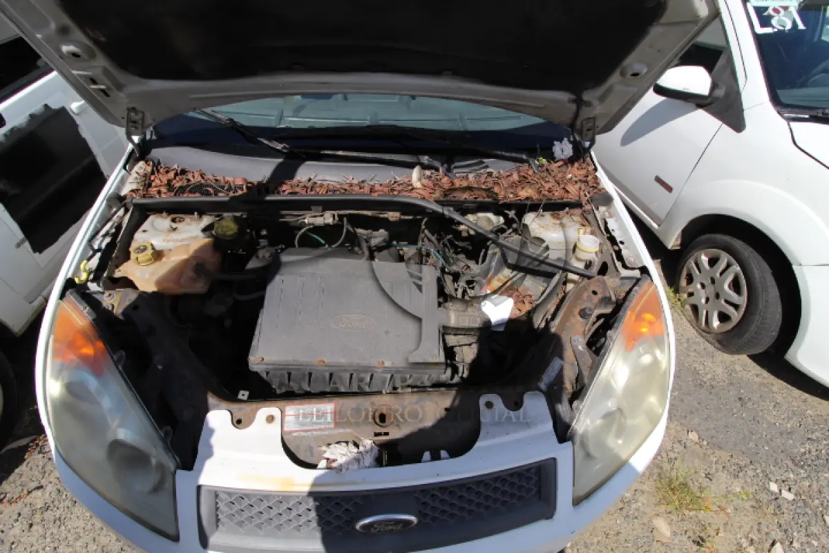 LOTE 082 - VEÍCULO; MARCA/MODELO: FORD/FIESTA FLEX FAB/MOD: 2008/2009 PLACA: JRX9498 CHASSI: 9BFZF55AX98357002