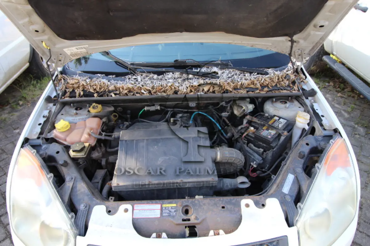 LOTE 016 - VEÍCULO: MARCA/MODELO: FORD/FIESTA 1.6 FLEX; FAB/MOD: 2009/2009; PLACA: JSL7908; CHASSI: 9BFZF55P798422313