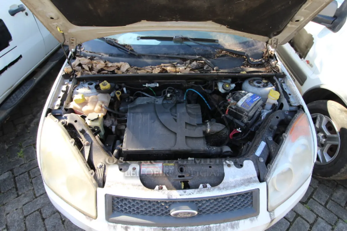 LOTE 021 - VEÍCULO: MARCA/MODELO: FORD/FIESTA 1.6 FLEX; FAB/MOD: 2009/2009; PLACA: JSL3666; CHASSI: 9BFZF55P598434217