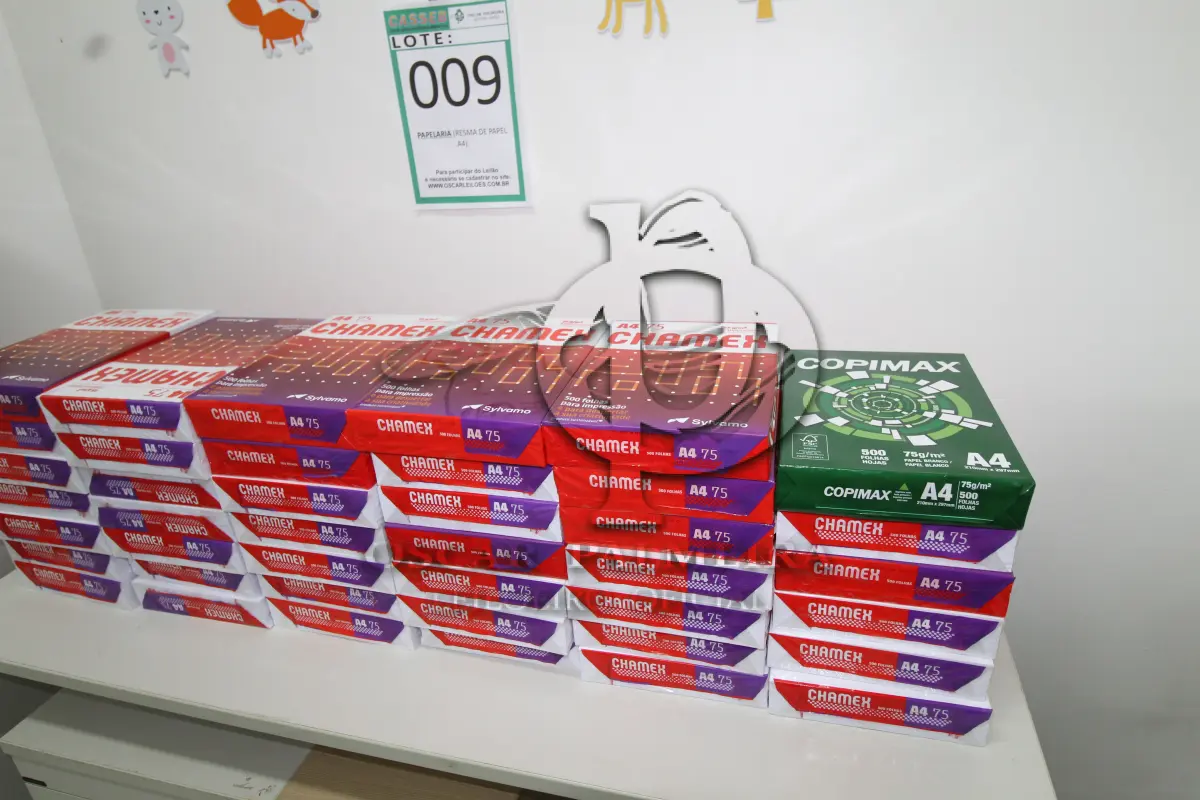 LOTE 009 - MATERIAL DE PAPELARIA