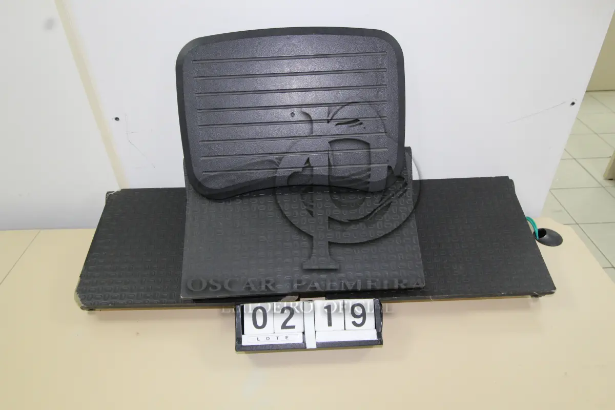 LOTE 219