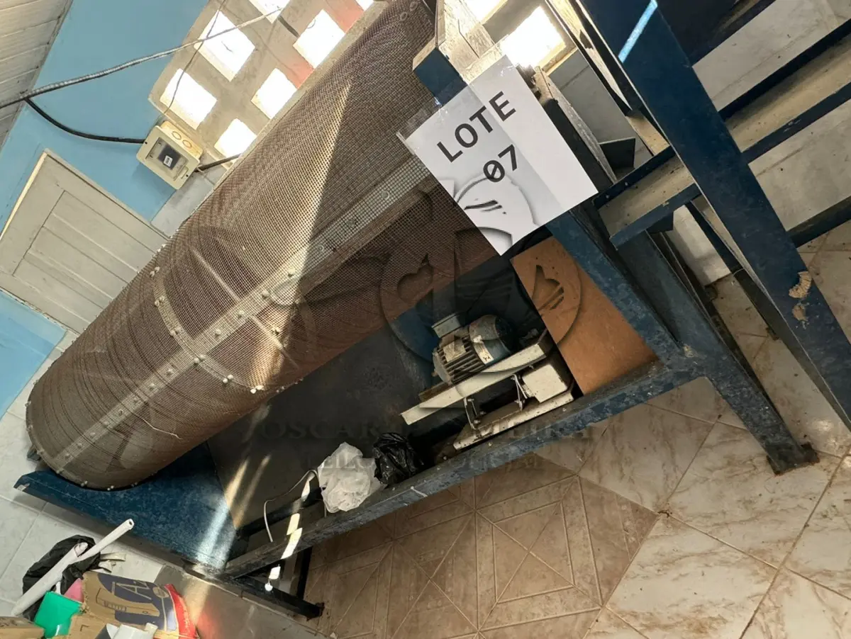 LOTE 007 - DESPELICULADOR, ROTATIVO E MESA DESCASCADORA