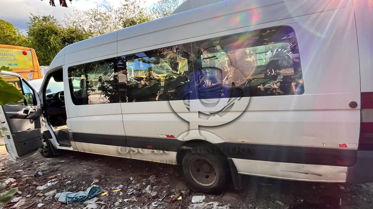 LOTE 009 - SPRINTER MERCEDES BENZ 515 - 2013/2014