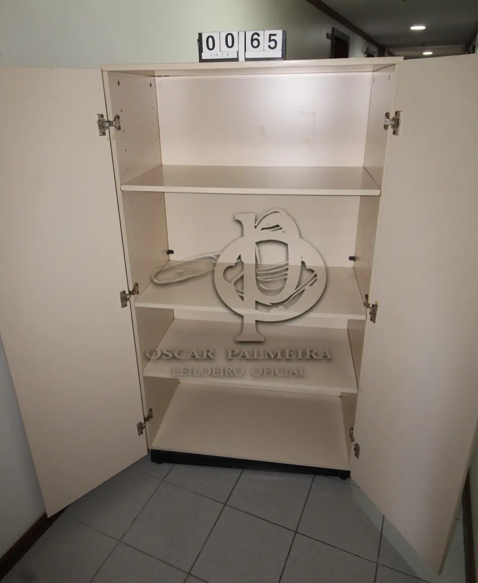 LOTE 065 - LOTE - 0065 - ARMÁRIO 2 PORTAS ALTO