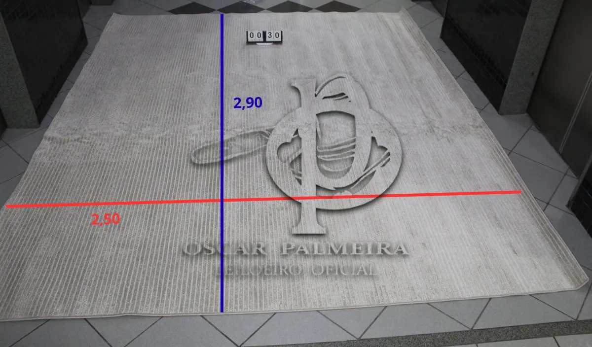 LOTE 030 - TAPETE SÃO CARLOS, TAMANHO 2,50M X 2,90M