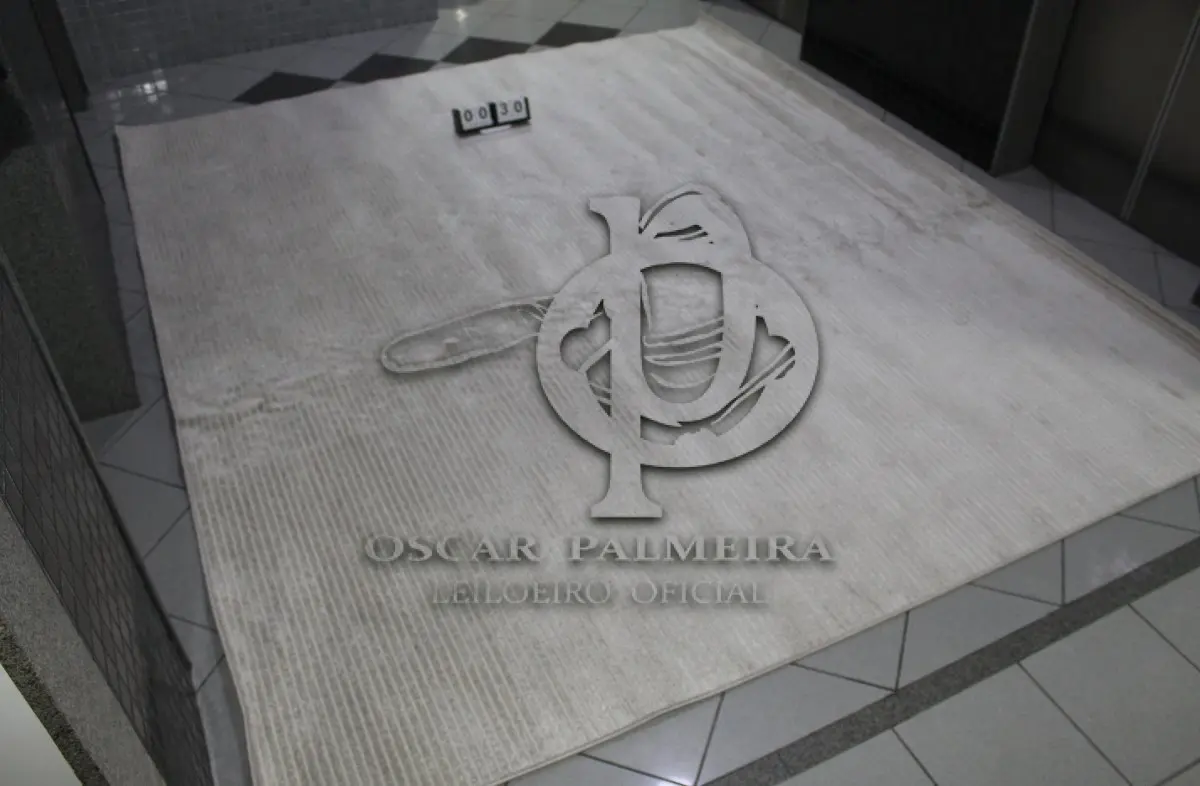 LOTE 030 - TAPETE SÃO CARLOS, TAMANHO 2,50M X 2,90M