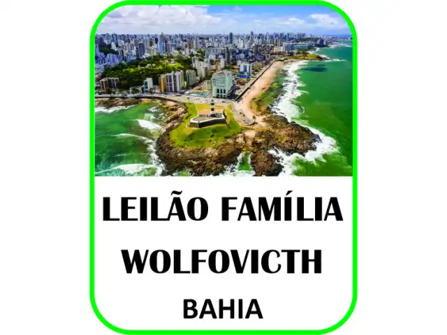 LEILÃO FAMÍLIA WOLFOVITCH