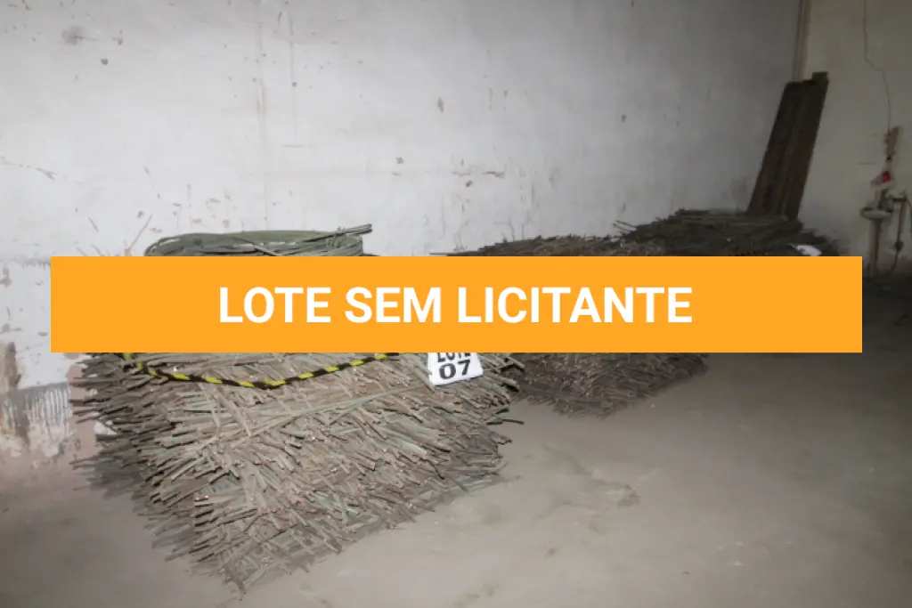 LOTE 007