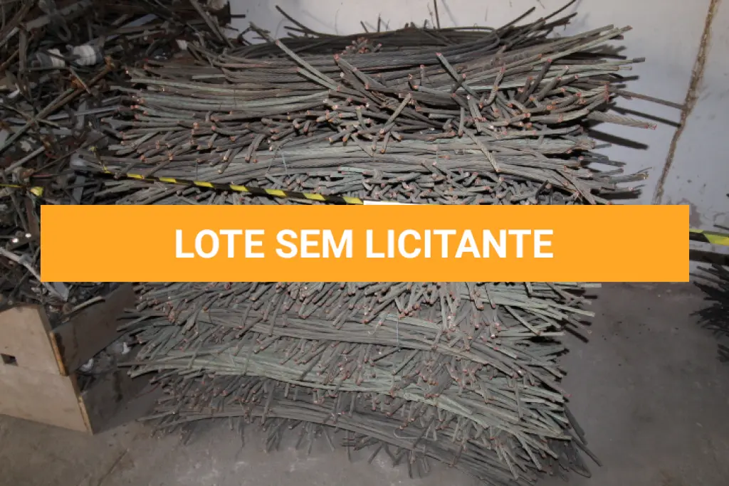 LOTE 006