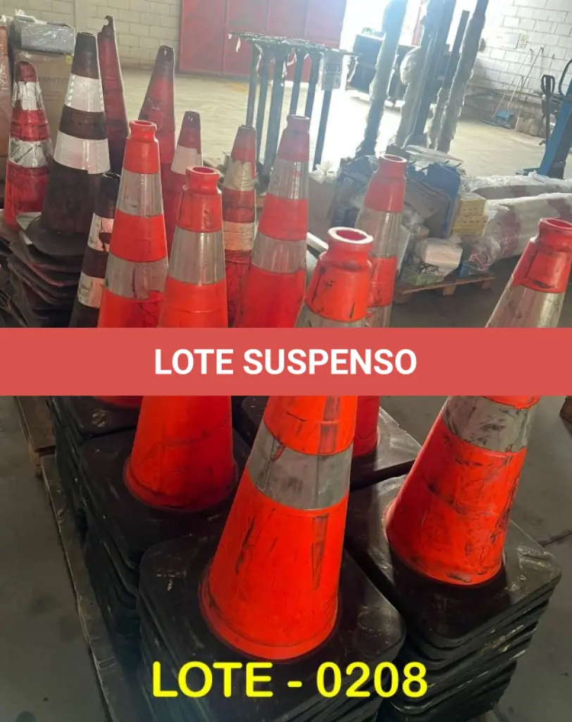 LOTE 208