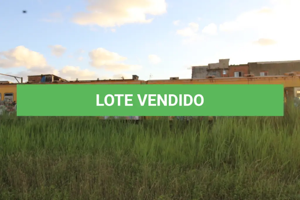 LOTE 003