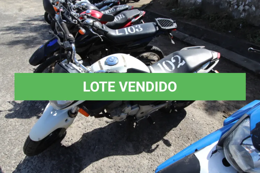 LOTE 102