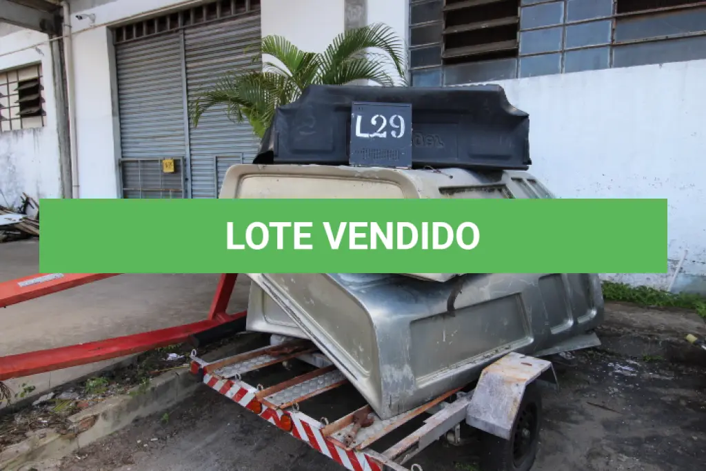 LOTE 029