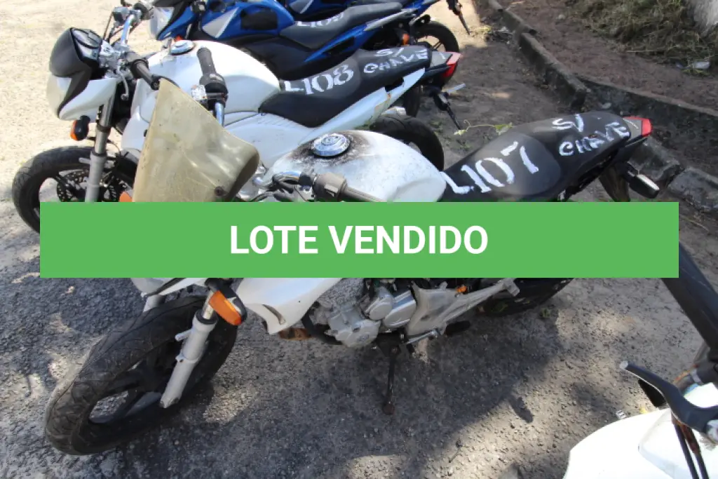 LOTE 107