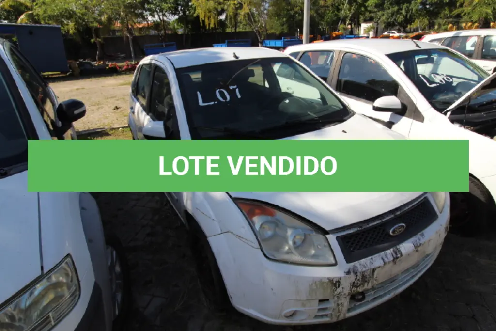 LOTE 007
