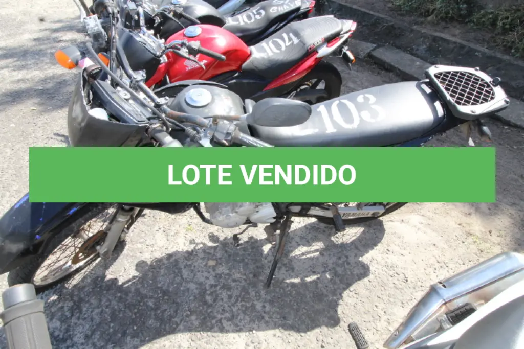 LOTE 103
