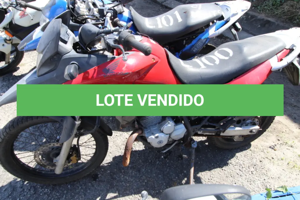 LOTE 100