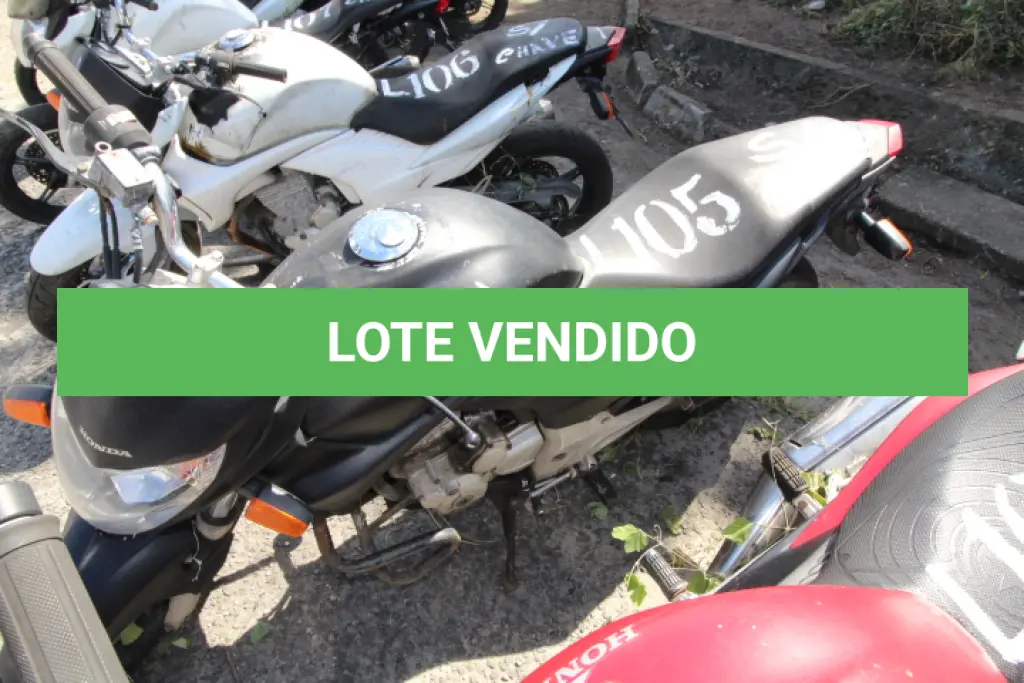 LOTE 105