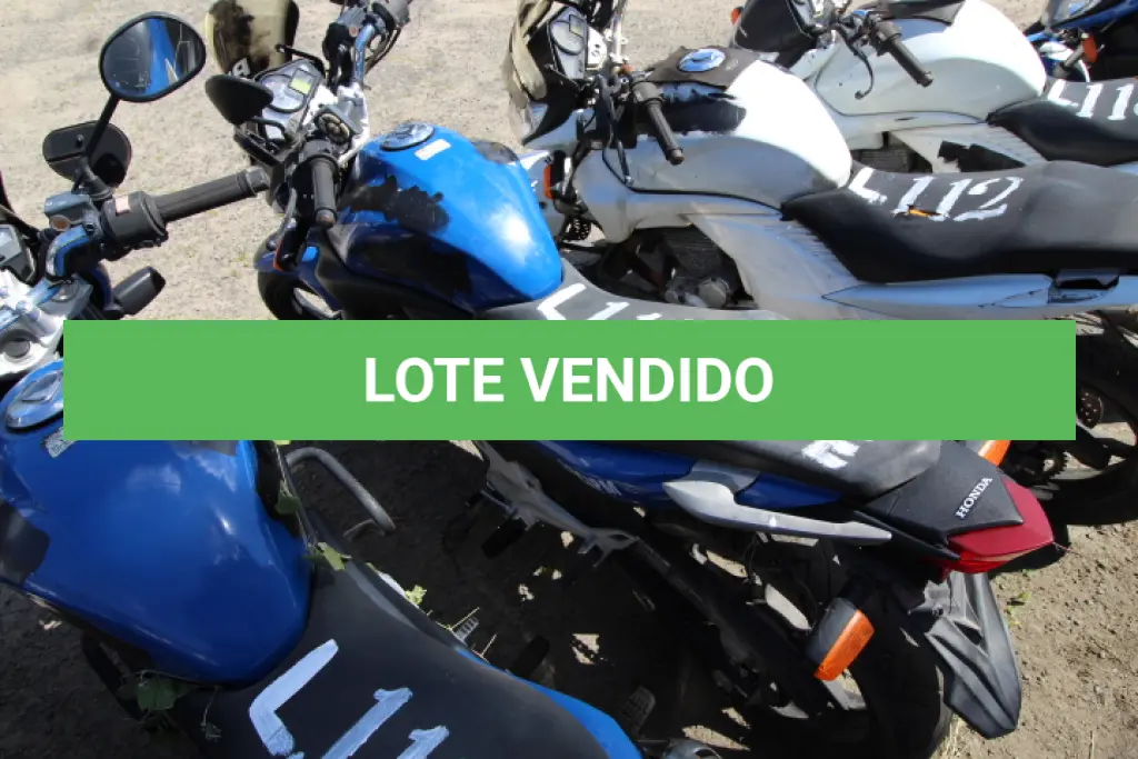 LOTE 111