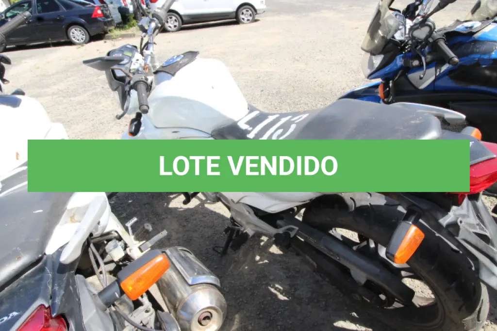 LOTE 113