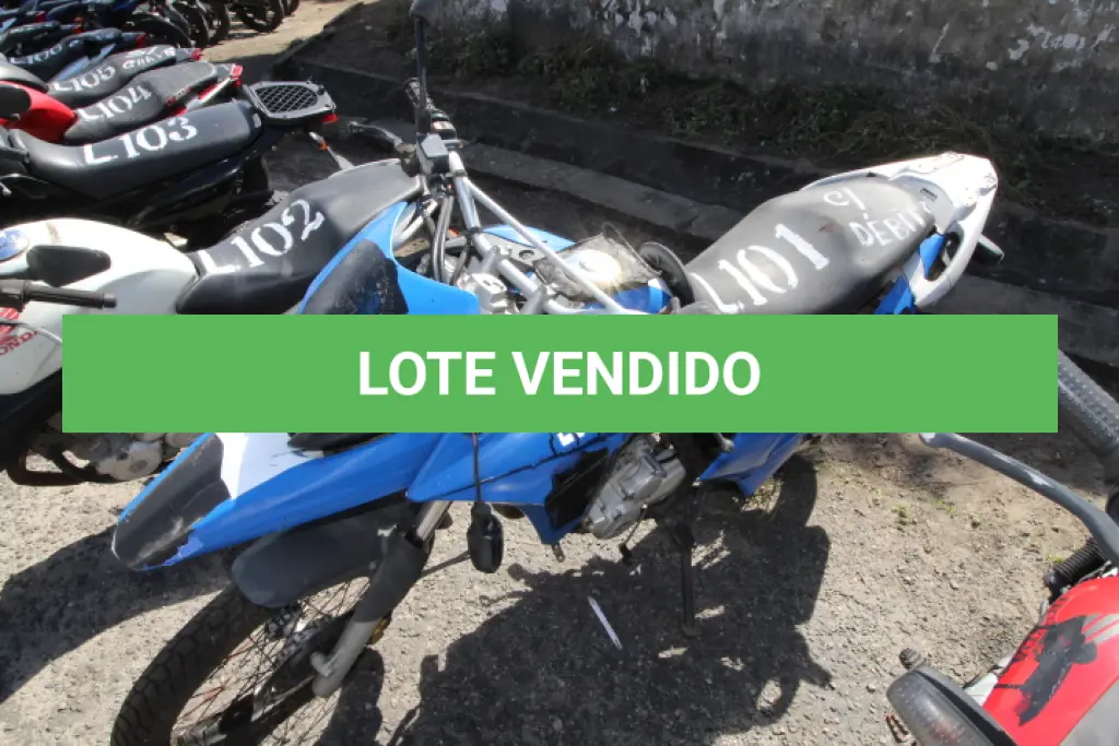LOTE 101