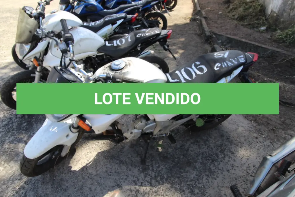 LOTE 106