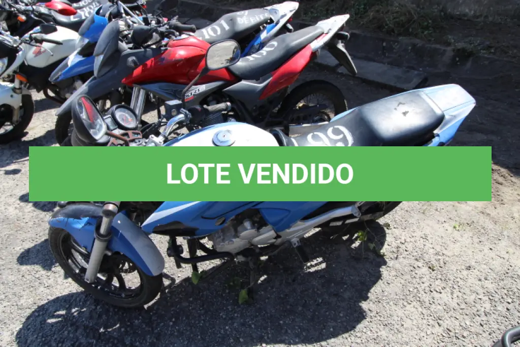 LOTE 099