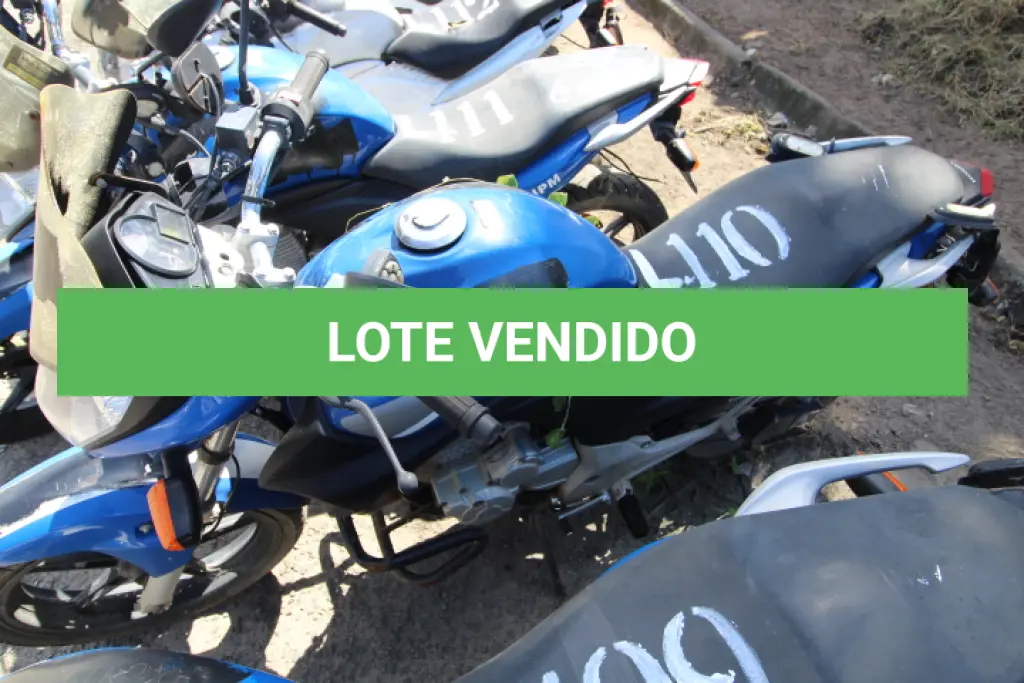 LOTE 110