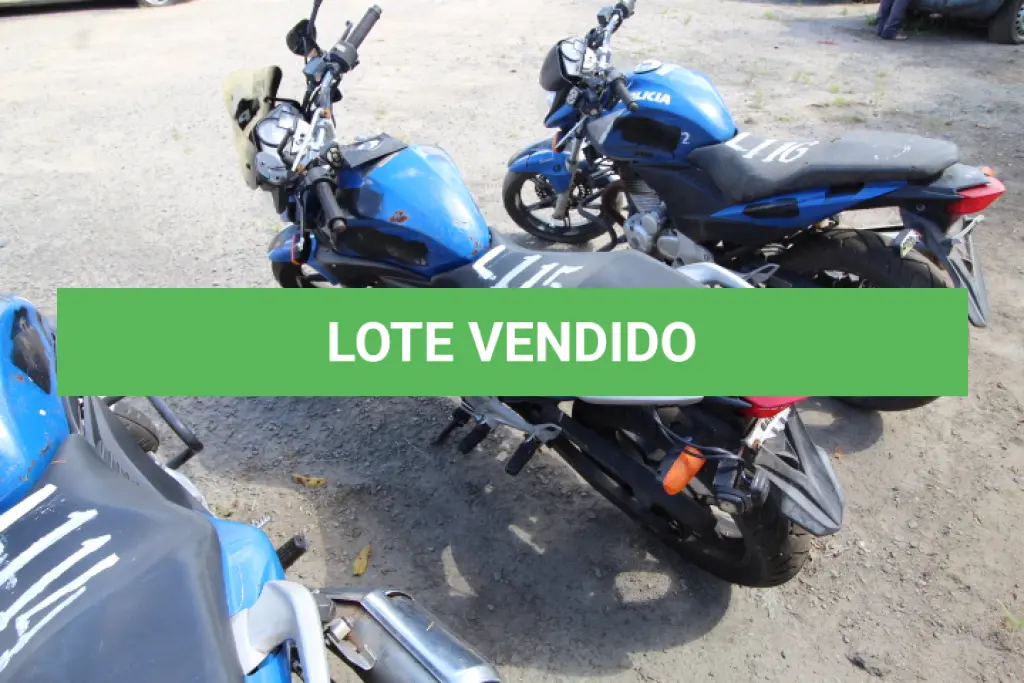 LOTE 115