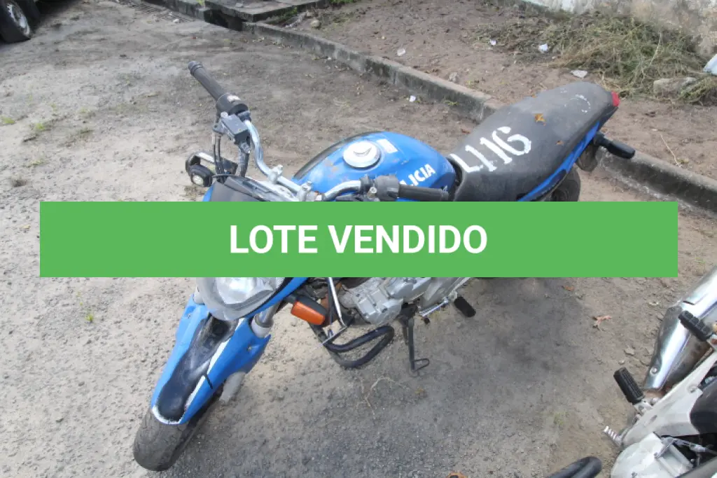 LOTE 116