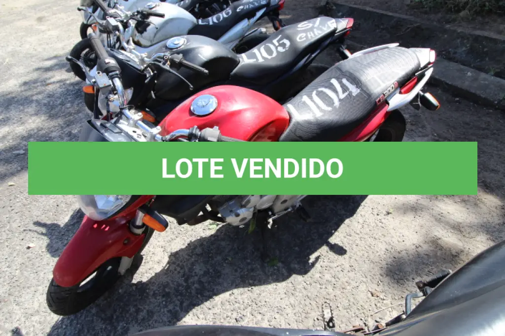 LOTE 104