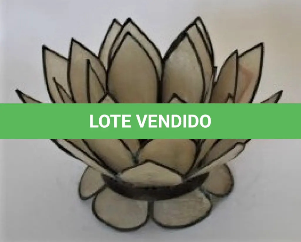 LOTE 038