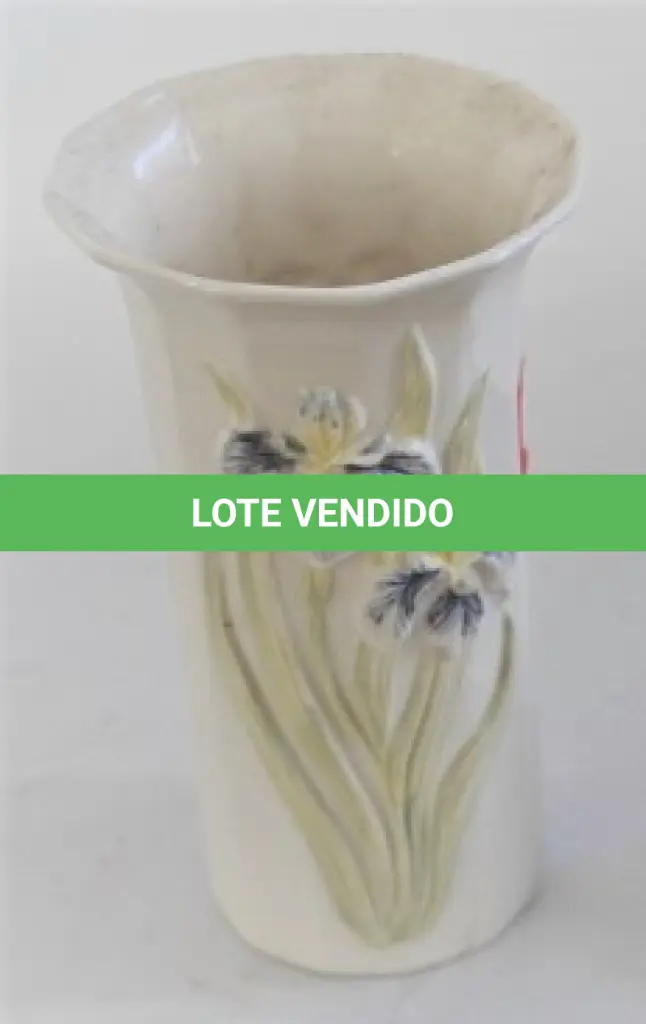 LOTE 131