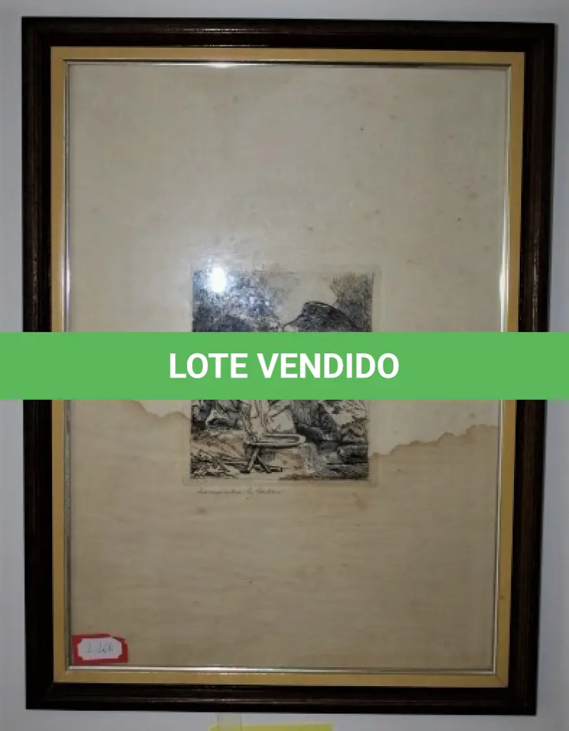 LOTE 266