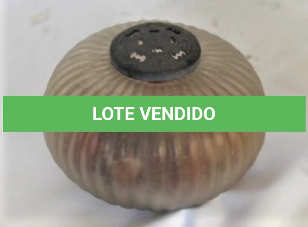 LOTE 232