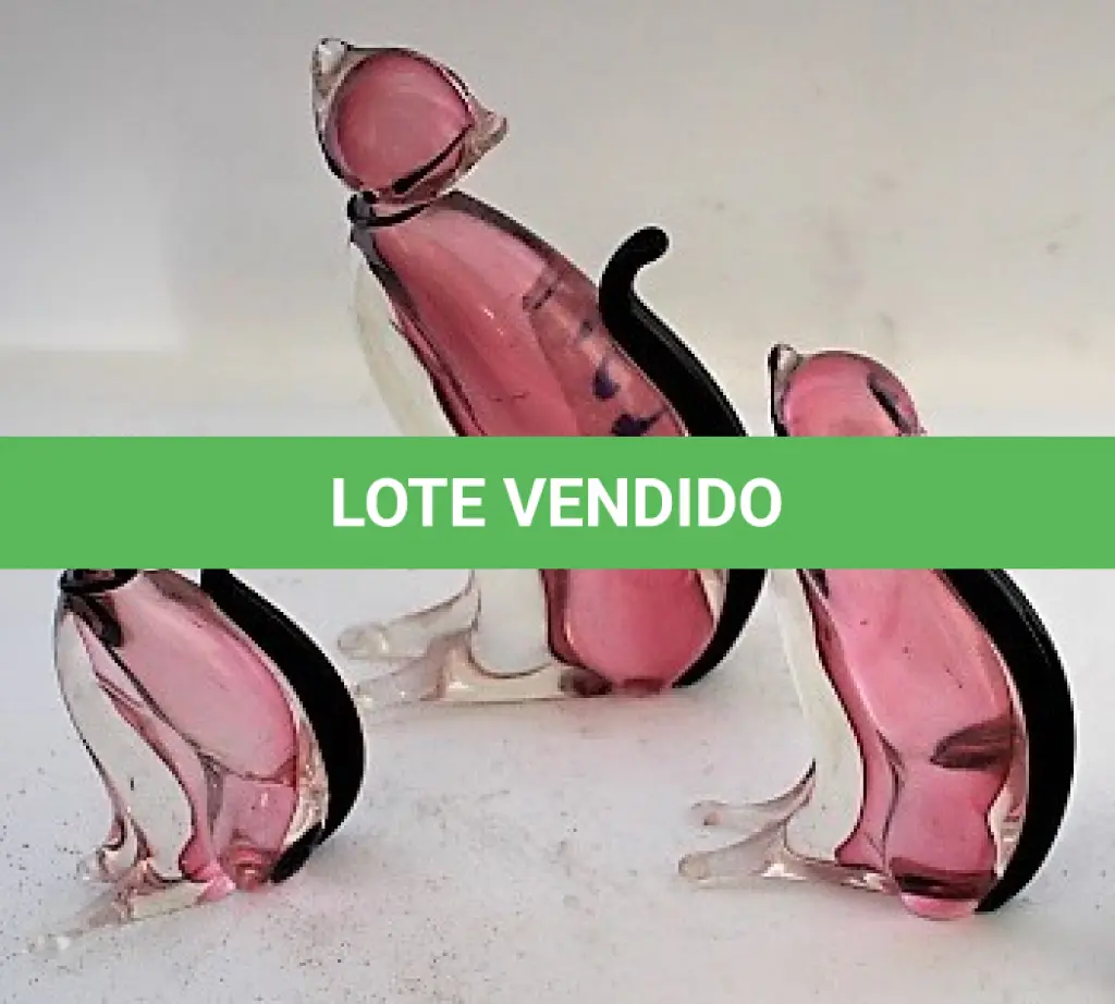 LOTE 304