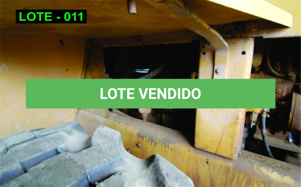 LOTE 011