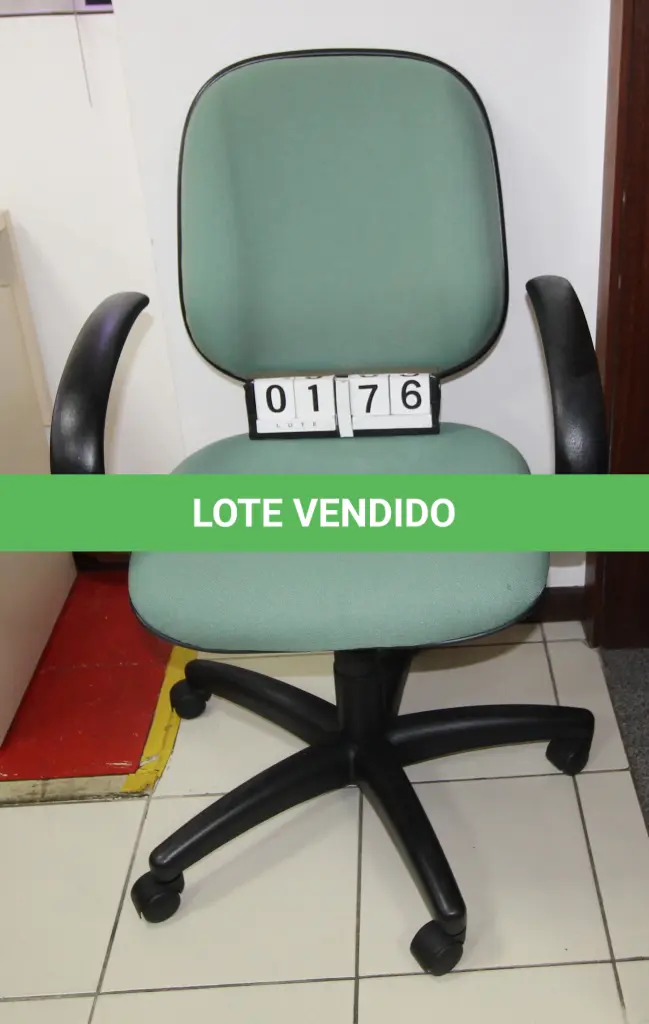 LOTE 176