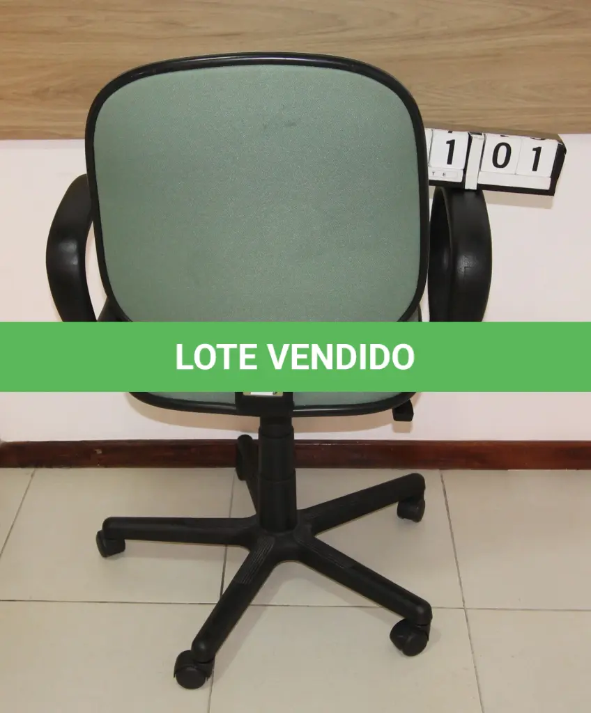 LOTE 101