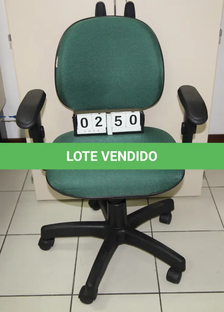 LOTE 250