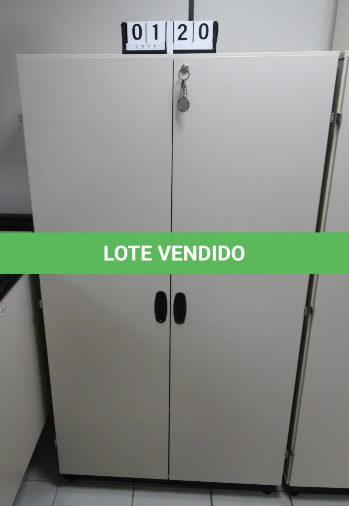 LOTE 120
