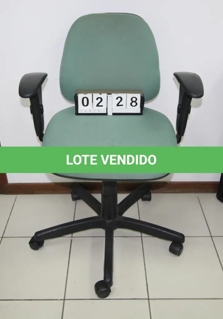 LOTE 228