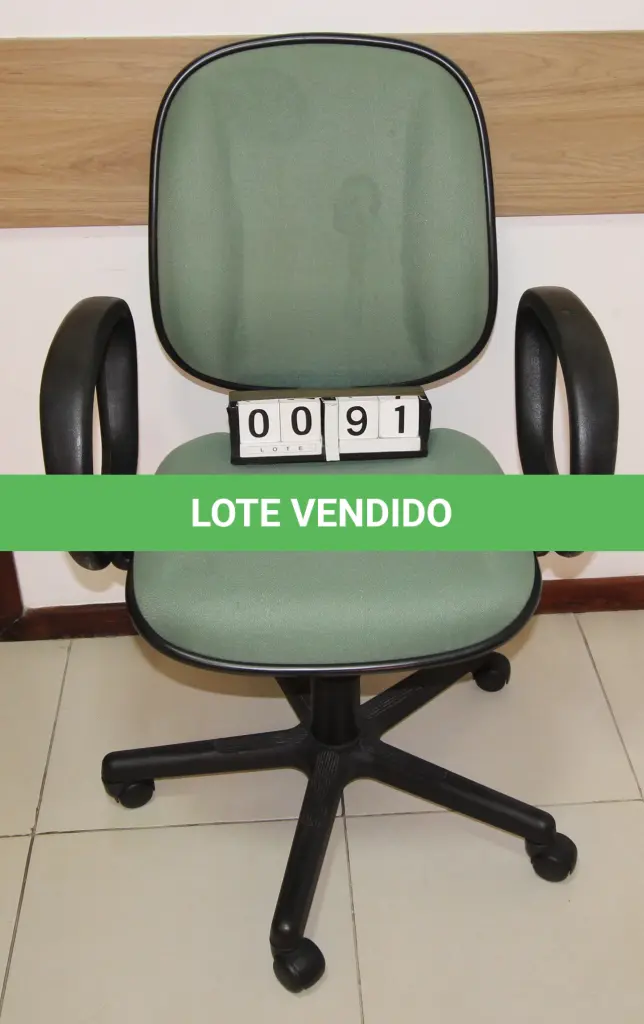 LOTE 091