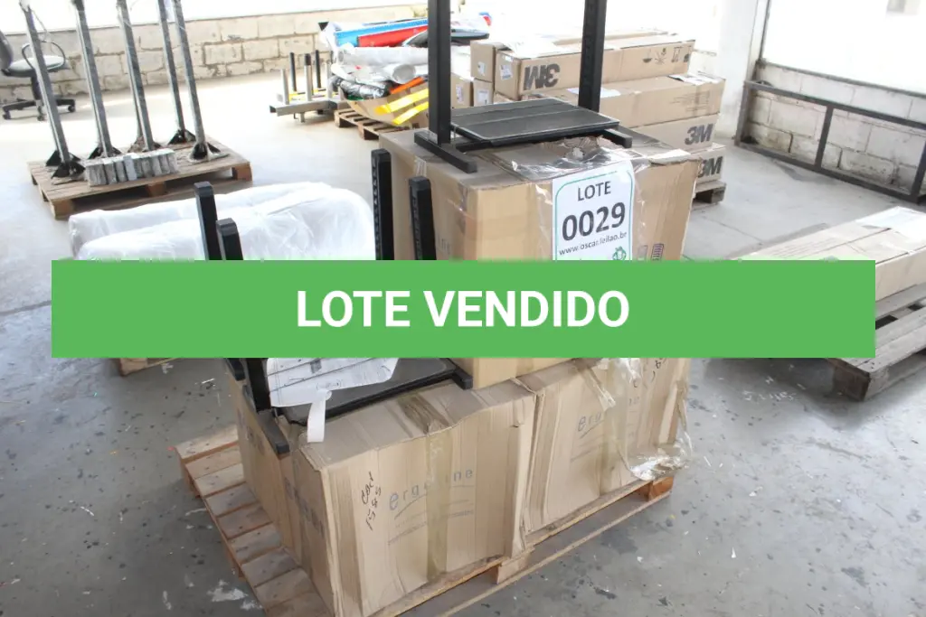 LOTE 029