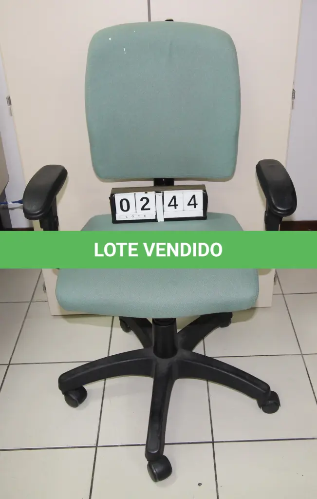 LOTE 244