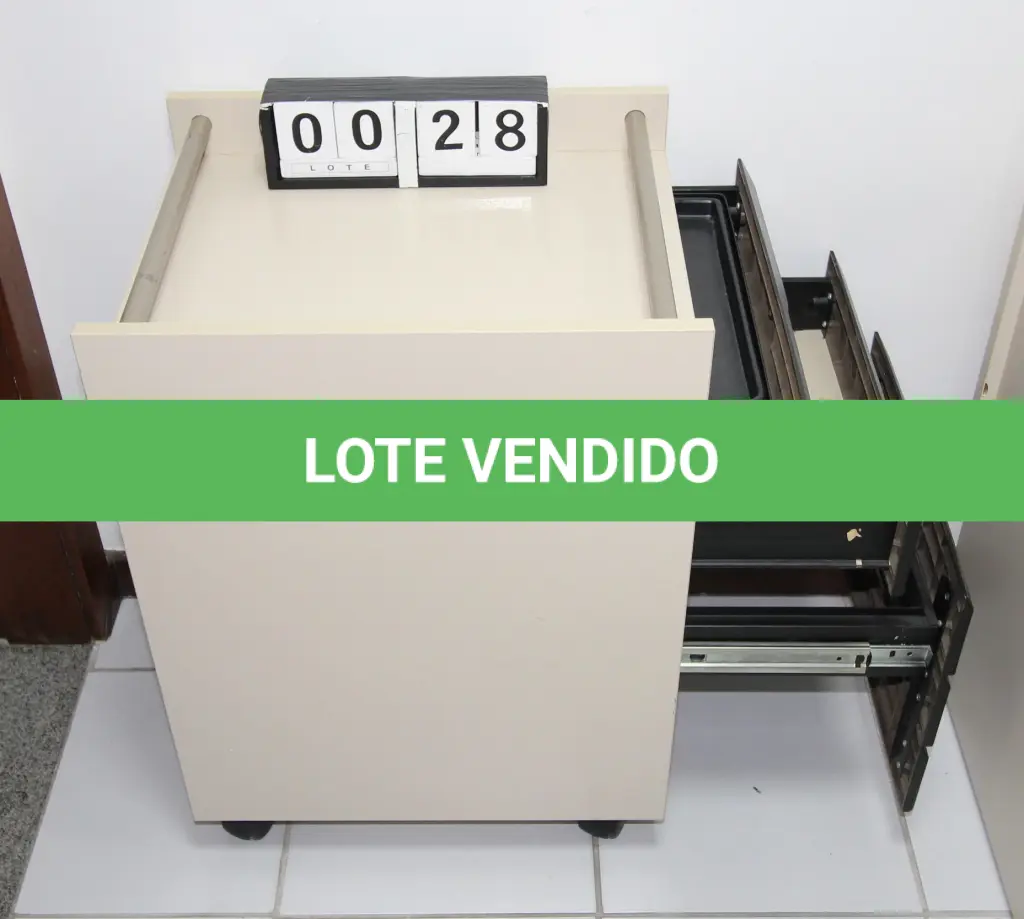 LOTE 028