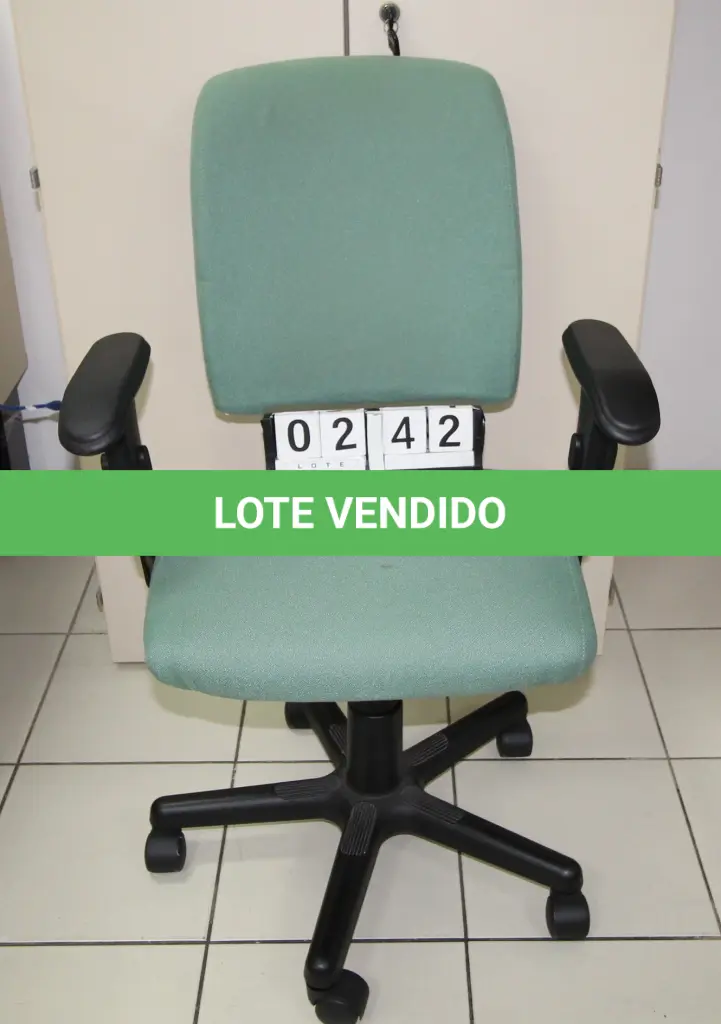 LOTE 242