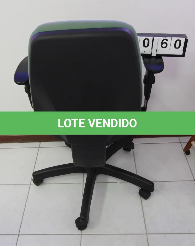 LOTE 060