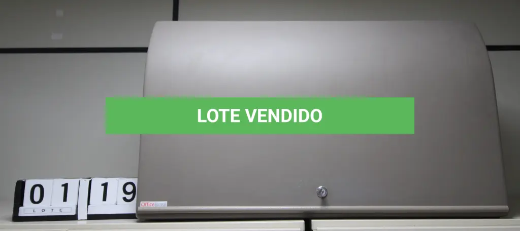 LOTE 119