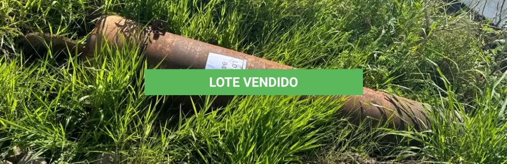 LOTE 004